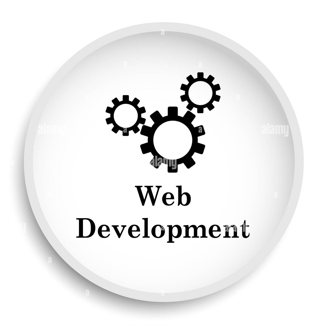 Website development services including responsive design and custom business websites by PlainMark Solutions